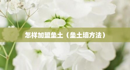 怎样加盟垒土（垒土墙方法）