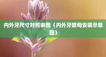 内外牙尺寸对照表图（内外牙螺母安装示意图）