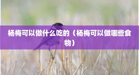 杨梅可以做什么吃的（杨梅可以做哪些食物）