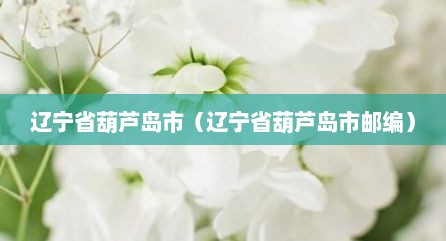 辽宁省葫芦岛市（辽宁省葫芦岛市邮编）