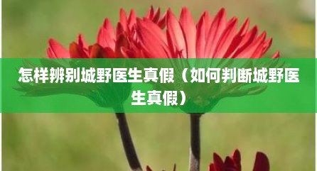 怎样辨别城野医生真假（如何判断城野医生真假）