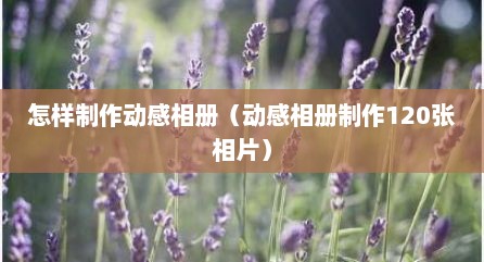 怎样制作动感相册（动感相册制作120张相片）