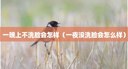 一晚上不洗脸会怎样（一夜没洗脸会怎么样）