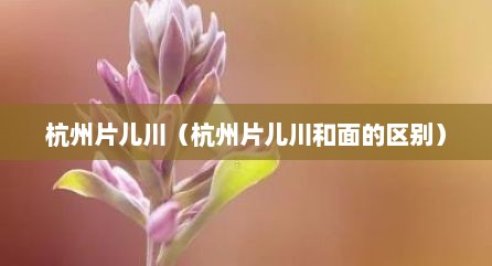 杭州片儿川（杭州片儿川和面的区别）