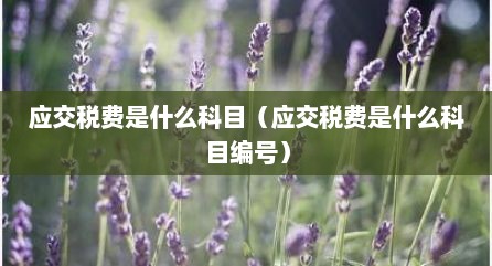 应交税费是什么科目（应交税费是什么科目编号）