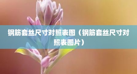 钢筋套丝尺寸对照表图（钢筋套丝尺寸对照表图片）