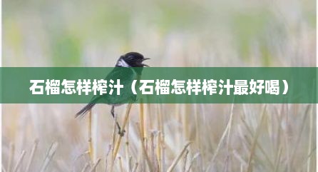 石榴怎样榨汁（石榴怎样榨汁最好喝）