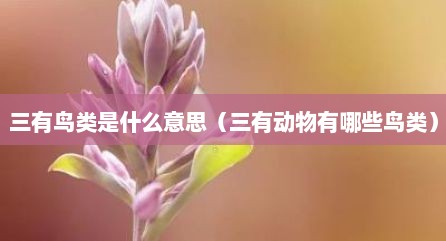 三有鸟类是什么意思（三有动物有哪些鸟类）