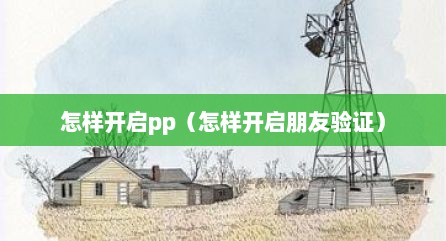 怎样开启pp（怎样开启朋友验证）