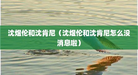 沈煜伦和沈肯尼（沈煜伦和沈肯尼怎么没消息啦）