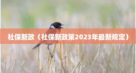 社保新政（社保新政策2023年最新规定）