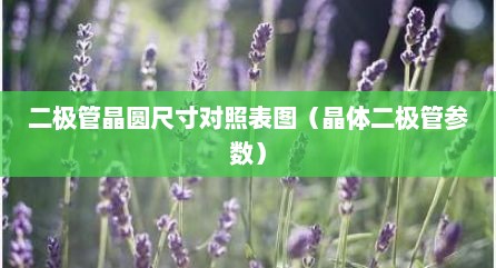 二极管晶圆尺寸对照表图（晶体二极管参数）