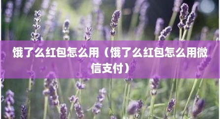 饿了么红包怎么用（饿了么红包怎么用微信支付）