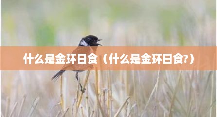 什么是金环日食（什么是金环日食?）