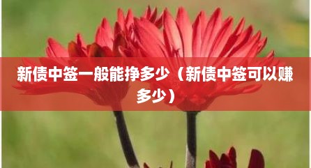 新债中签一般能挣多少（新债中签可以赚多少）