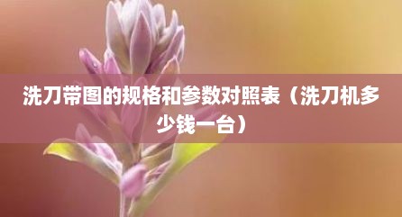 洗刀带图的规格和参数对照表（洗刀机多少钱一台）
