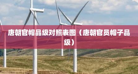 唐朝官帽品级对照表图（唐朝官员帽子品级）