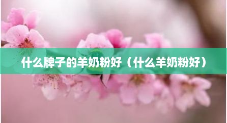 什么牌子的羊奶粉好（什么羊奶粉好）