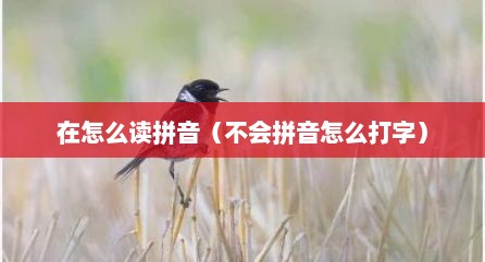 在怎么读拼音（不会拼音怎么打字）