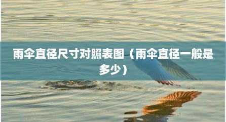 雨伞直径尺寸对照表图（雨伞直径一般是多少）