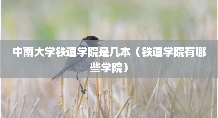 中南大学铁道学院是几本（铁道学院有哪些学院）
