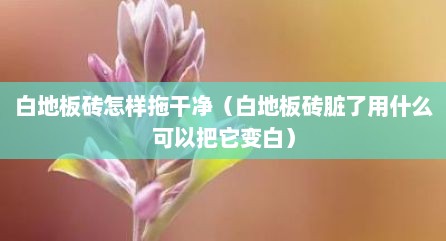 白地板砖怎样拖干净（白地板砖脏了用什么可以把它变白）