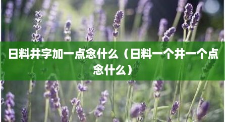 日料井字加一点念什么（日料一个井一个点念什么）