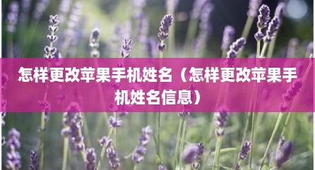 怎样更改苹果手机姓名（怎样更改苹果手机姓名信息）