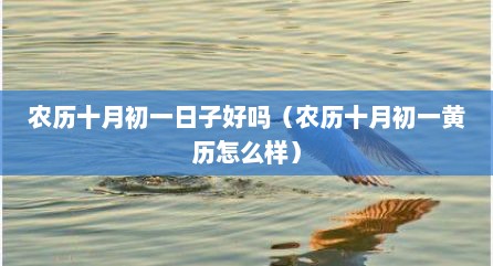 农历十月初一日子好吗（农历十月初一黄历怎么样）