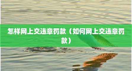 怎样网上交违章罚款（如何网上交违章罚款）