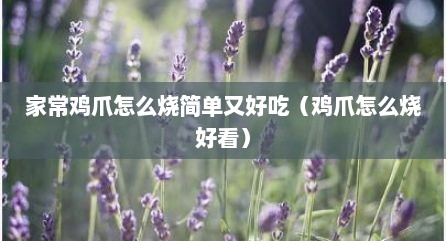 家常鸡爪怎么烧简单又好吃（鸡爪怎么烧好看）