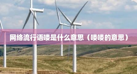 网络流行语喽是什么意思（喽喽的意思）