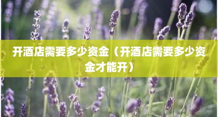 开酒店需要多少资金（开酒店需要多少资金才能开）