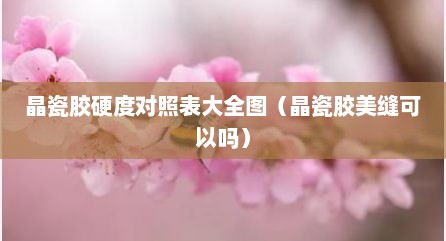 晶瓷胶硬度对照表大全图（晶瓷胶美缝可以吗）