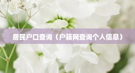 居民户口查询（户籍网查询个人信息）