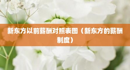新东方以前薪酬对照表图（新东方的薪酬制度）