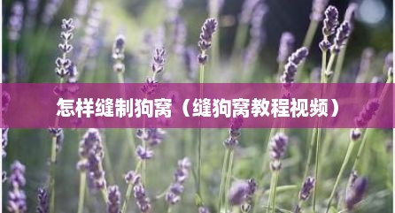 怎样缝制狗窝（缝狗窝教程视频）