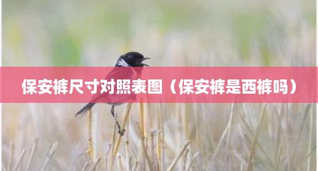 保安裤尺寸对照表图（保安裤是西裤吗）