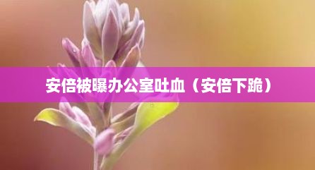 安倍被曝办公室吐血（安倍下跪）