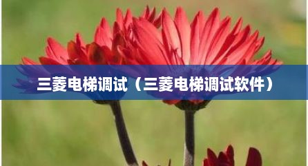 三菱电梯调试（三菱电梯调试软件）