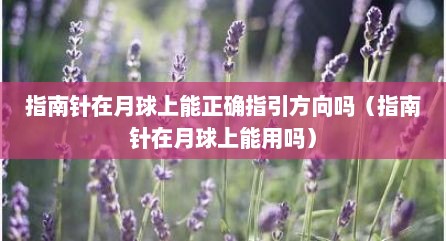指南针在月球上能正确指引方向吗（指南针在月球上能用吗）