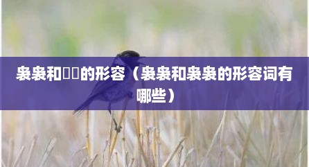袅袅和嫋嫋的形容（袅袅和袅袅的形容词有哪些）
