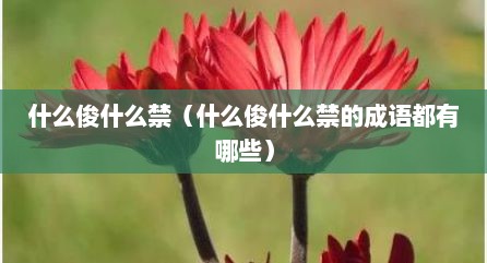 什么俊什么禁（什么俊什么禁的成语都有哪些）