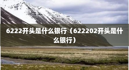 6222开头是什么银行（622202开头是什么银行）