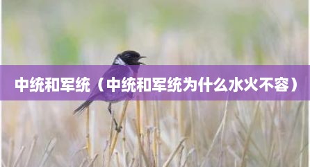 中统和军统（中统和军统为什么水火不容）