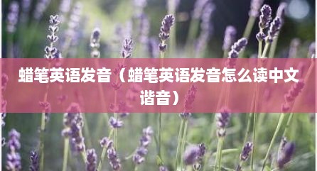 蜡笔英语发音（蜡笔英语发音怎么读中文谐音）