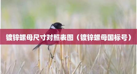 镀锌螺母尺寸对照表图（镀锌螺母国标号）