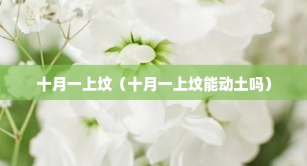 十月一上坟（十月一上坟能动土吗）