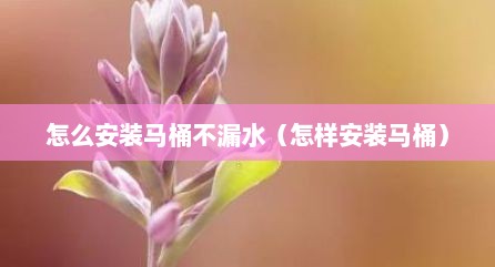 怎么安装马桶不漏水（怎样安装马桶）
