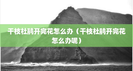 干枝杜鹃开完花怎么办（干枝杜鹃开完花怎么办呢）